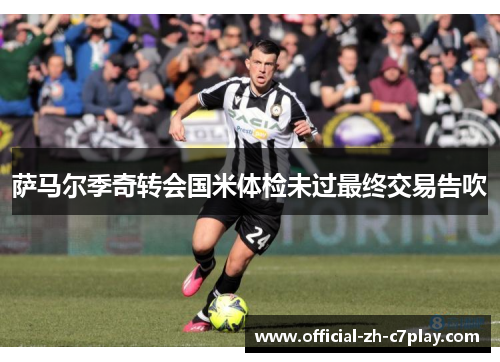 萨马尔季奇转会国米体检未过最终交易告吹