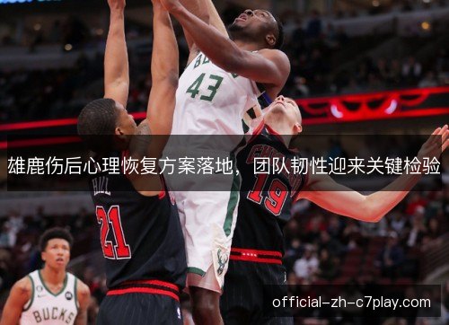雄鹿伤后心理恢复方案落地，团队韧性迎来关键检验
